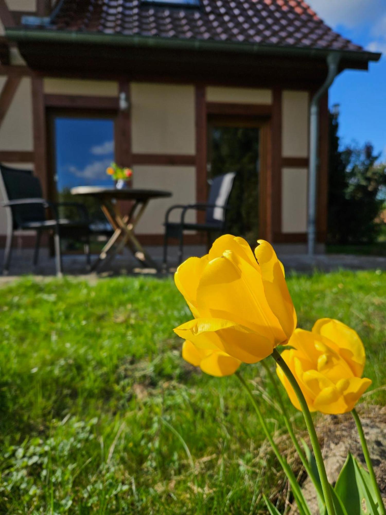 Ferienwohnung Peetsch Am See Mirow Εξωτερικό φωτογραφία